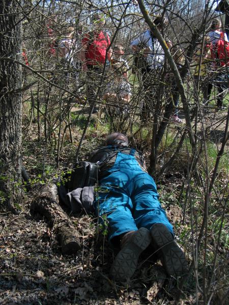 Jó fotóért mindent!