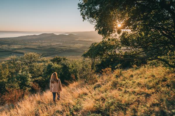 A szépség nyomában