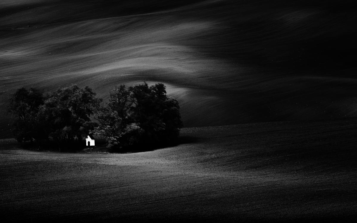 Szakolczai Krisztina