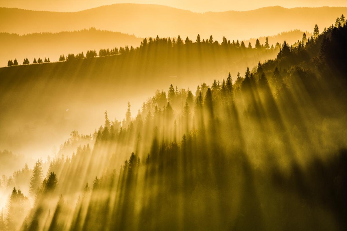 Szakolczai Krisztina