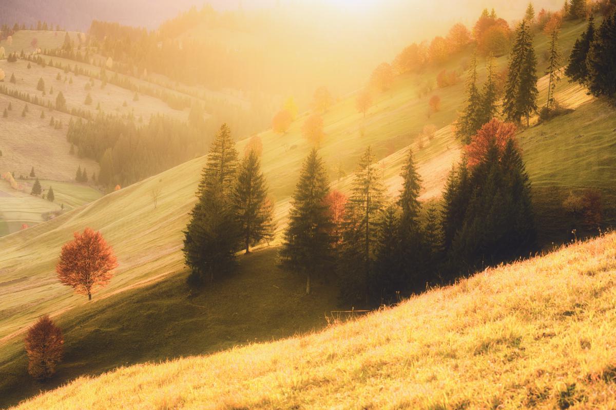 Szakolczai Krisztina