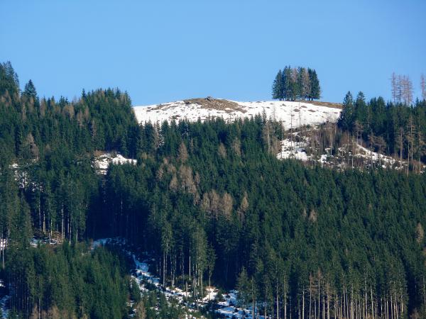 Lassan fogyó világunk