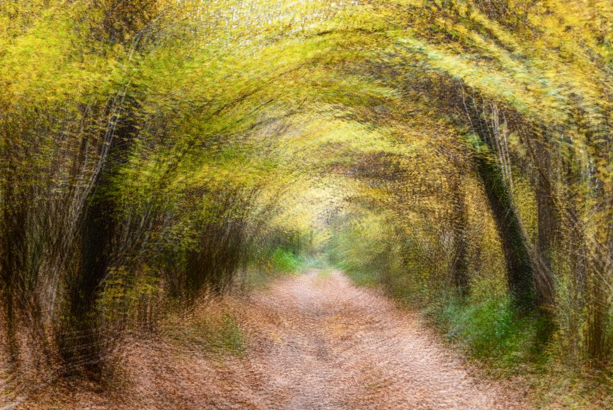 Szakolczai Krisztina