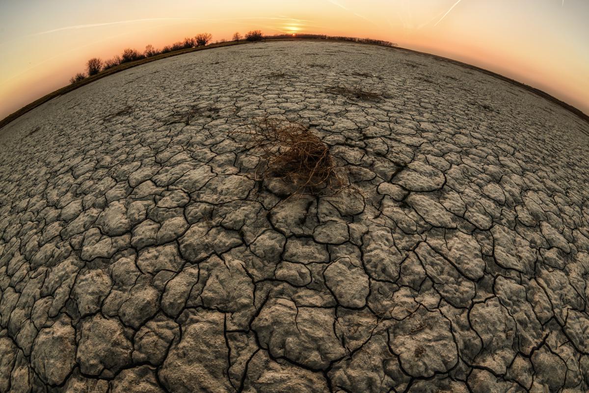 Szakolczai Krisztina