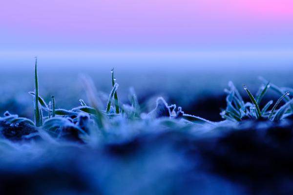 Meleg cseppek a fagyban