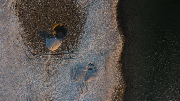 Leszedált Homokvár