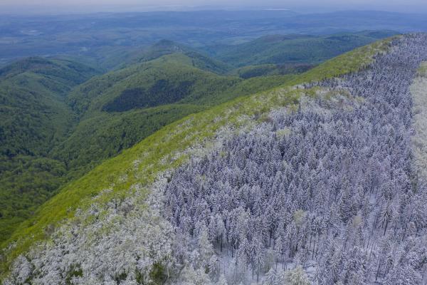 A hóválasztó hegység
