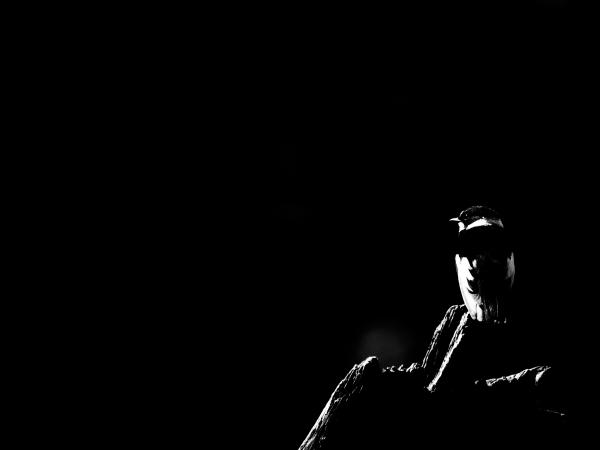 Egy aprócska fénysugár