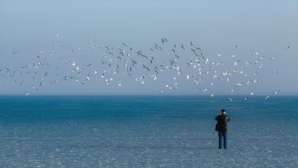 Földön-vizen-levegőben