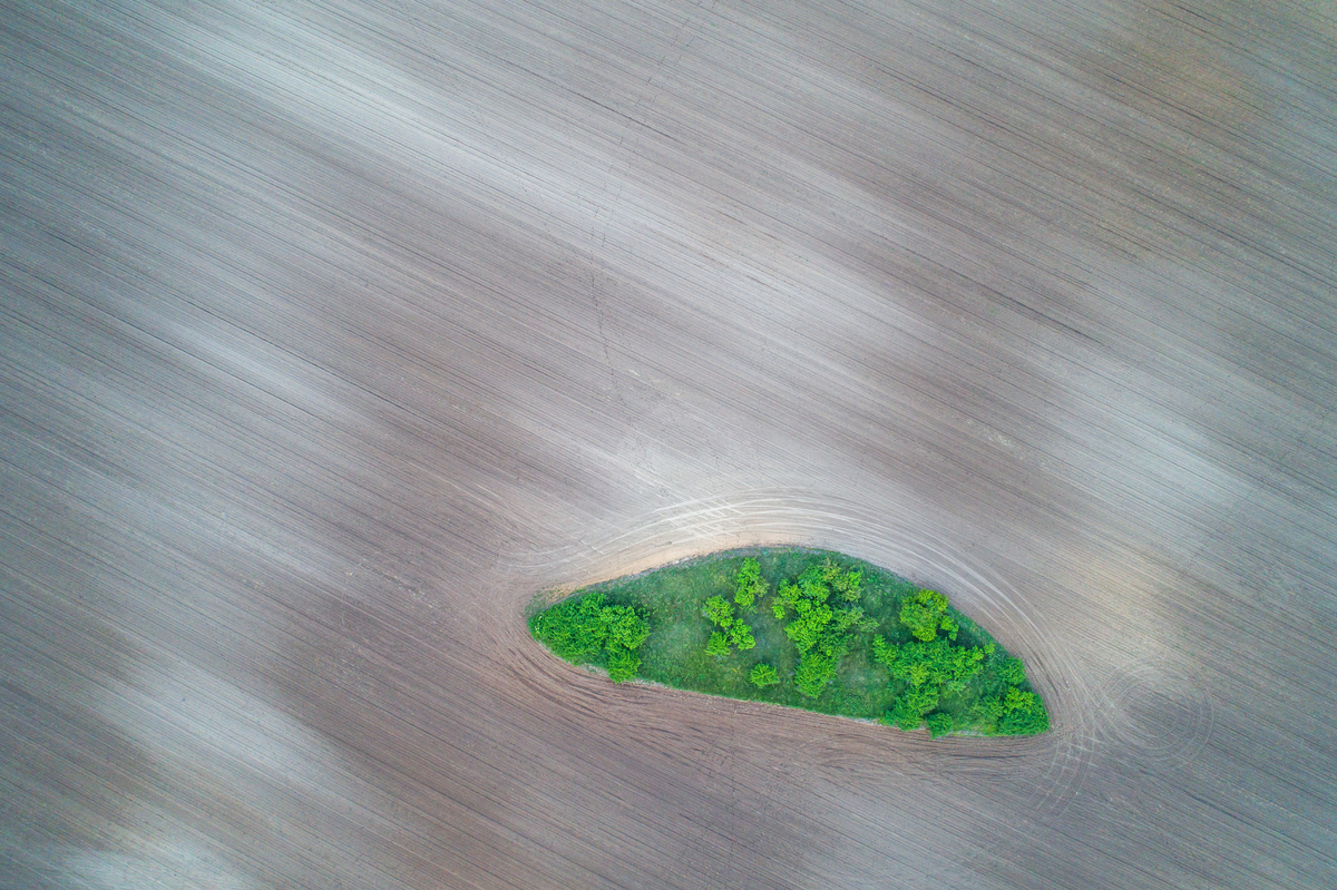 Gaál Zoltán Péter