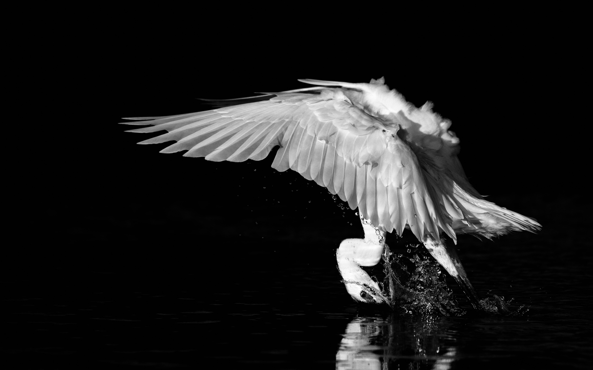 Szakolczai Krisztina