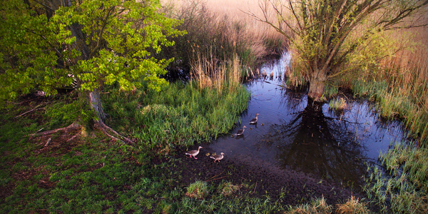 Külső-tavi családok