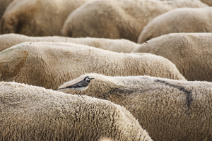 Terülj, terülj asztalkám... Terülj, terülj asztalkám...