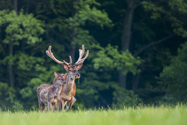 Két generáció egy irányba