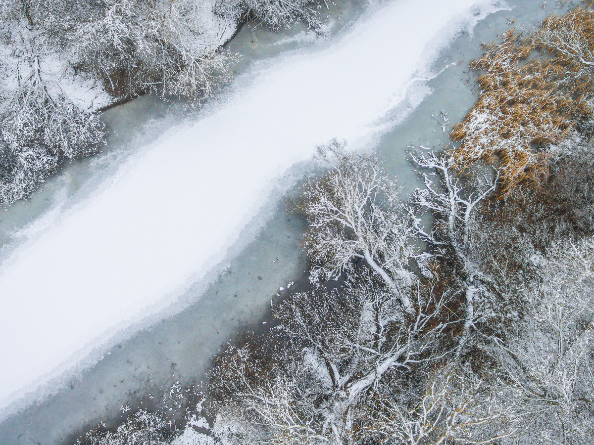 Koncz-Bisztricz Tamás