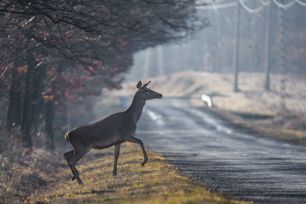 Két világ határán