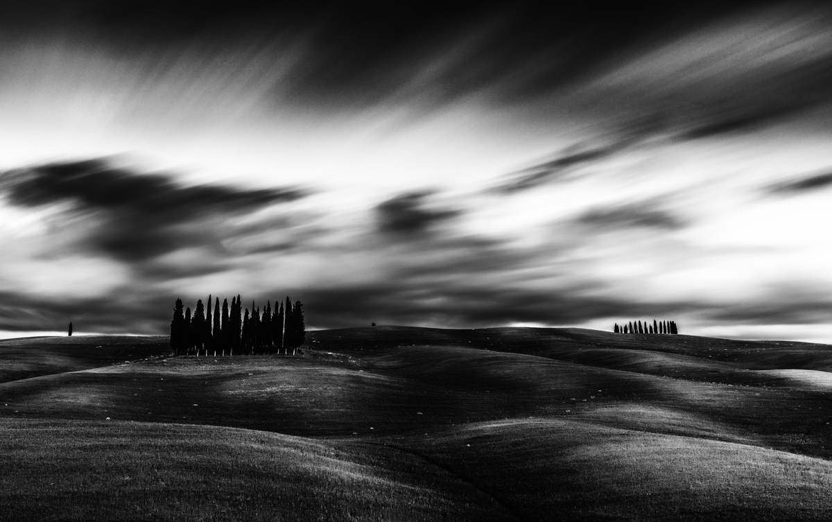 Szakolczai Krisztina