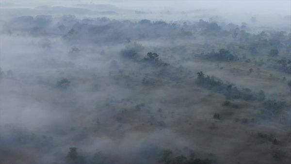 Ködös nyári reggel