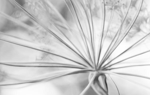 Ívek és kontrasztok