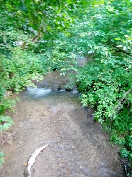 Szalajka-völgy 2019.június