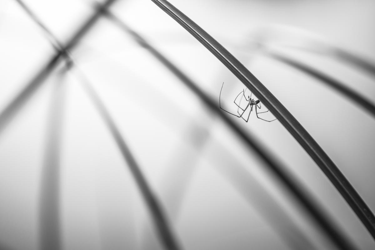 Darányiné Bakos Éva