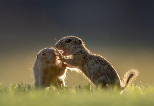 Ez maradjon a mi titkunk!