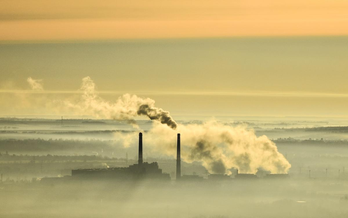 Koncz-Bisztricz Tamás