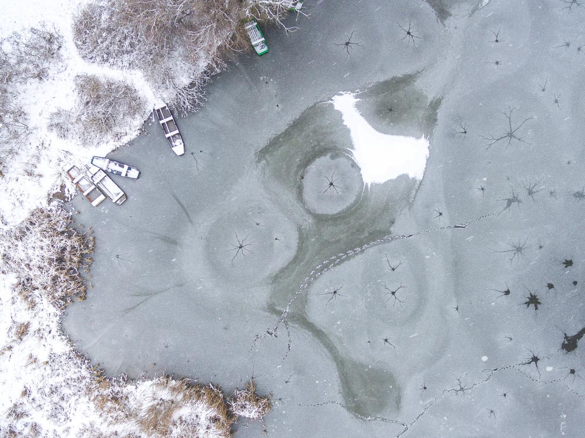 Koncz-Bisztricz Tamás