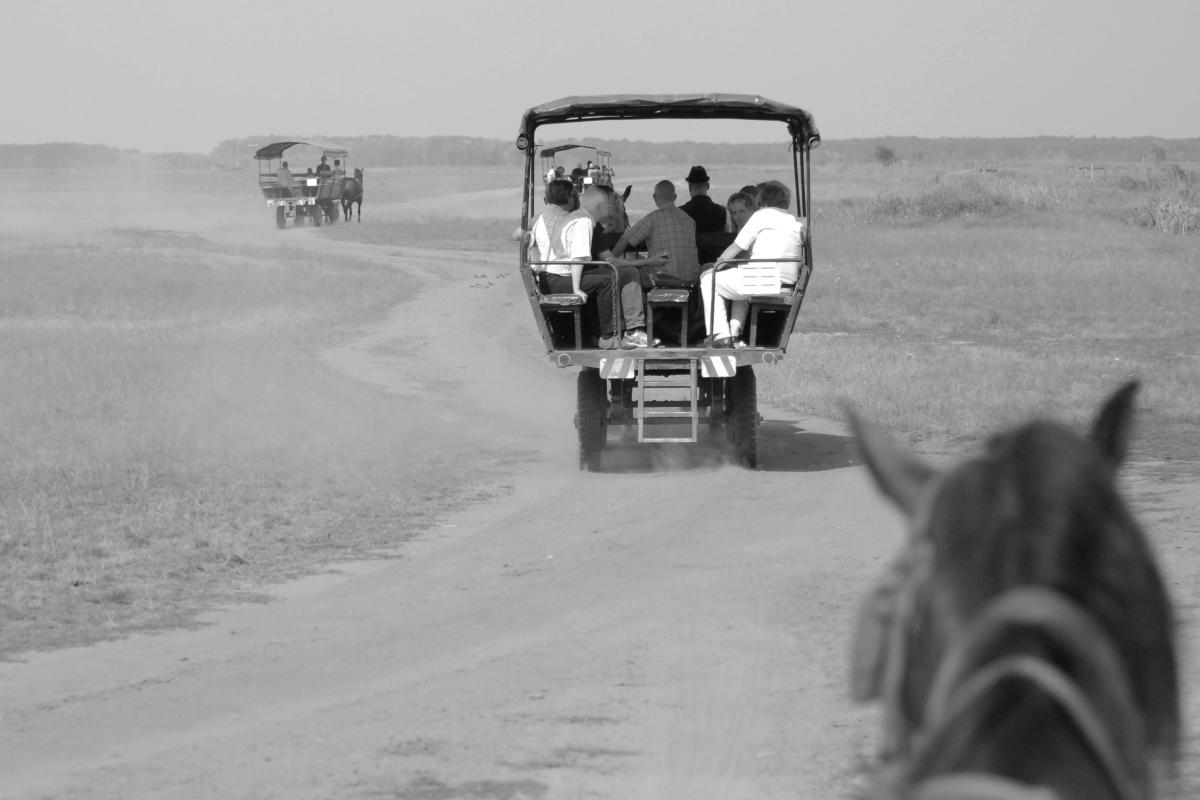 Gaál Zoltán Péter