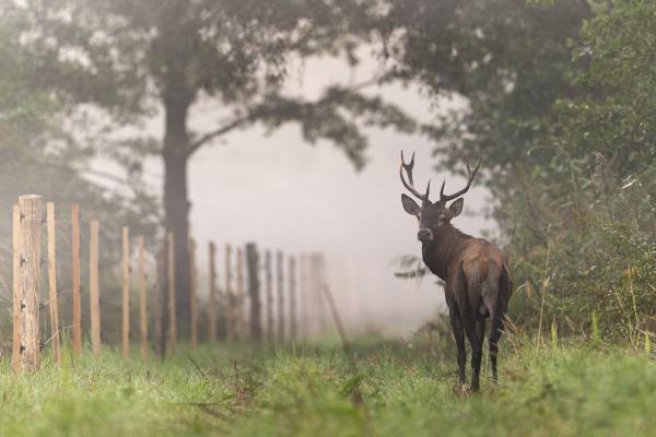 &quot;Bezárva&quot;