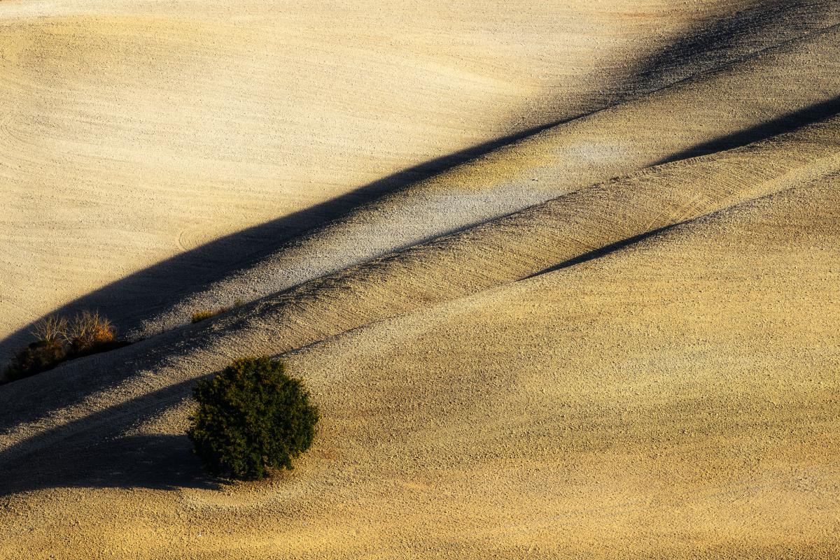 Szakolczai Krisztina
