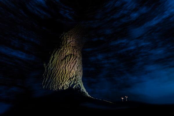 Az éjszaka figyelői