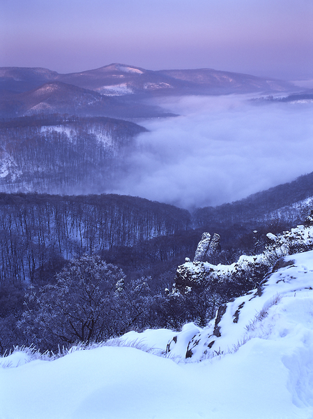 Vadálló kövek télen