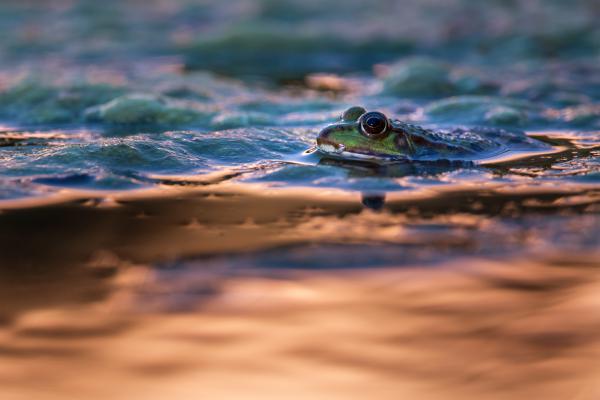 "Kék és narancssárga színekbe öltözöm"