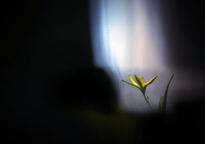 Magányosan Magányosan