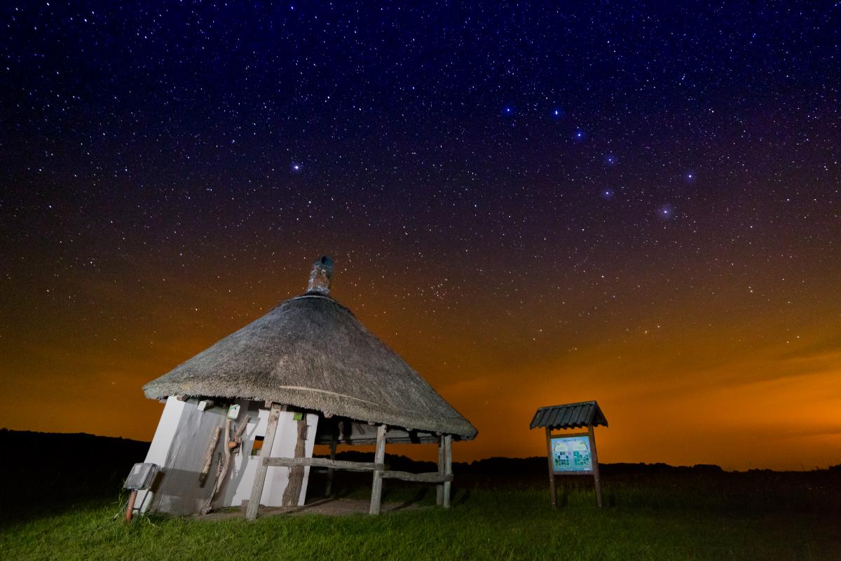 Koncz-Bisztricz Tamás