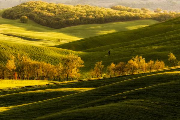 Zöld hullámok hátán