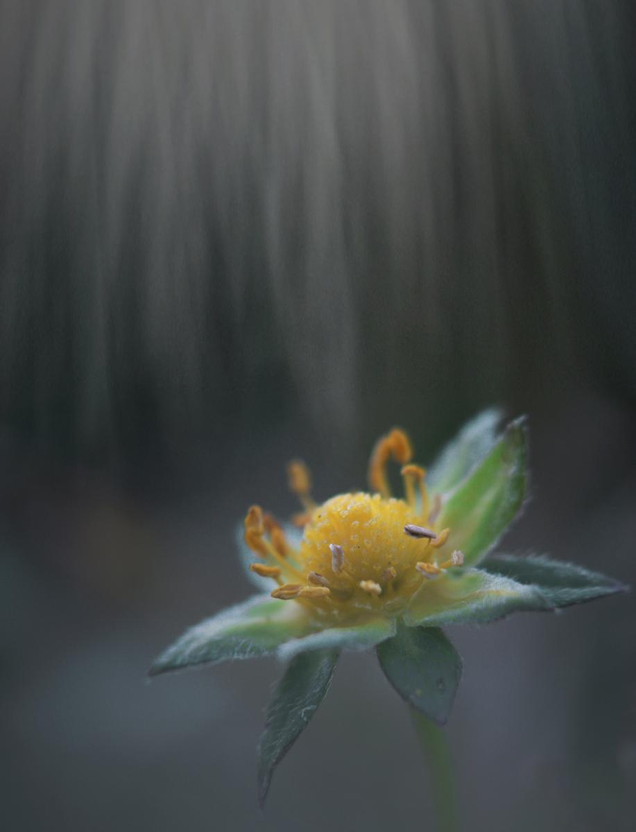 Ferkó László Szilveszter 