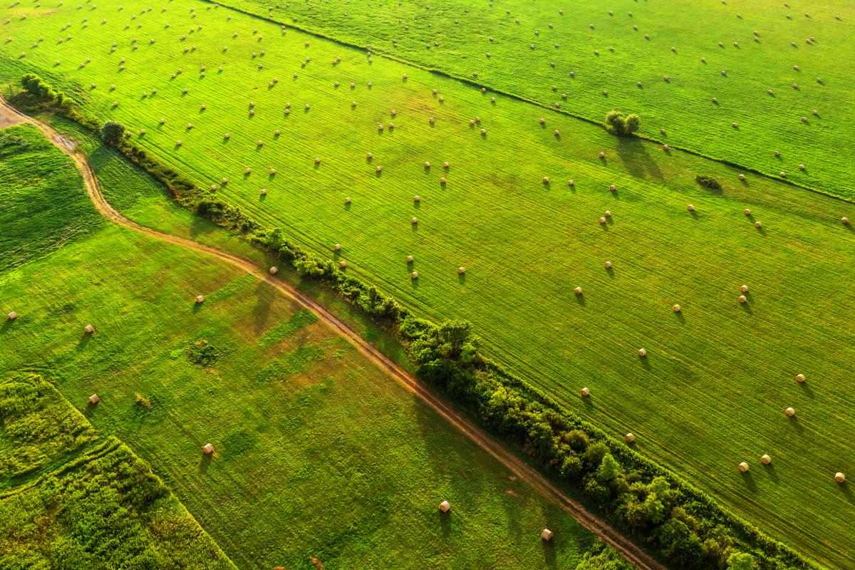 Gaál Zoltán Péter