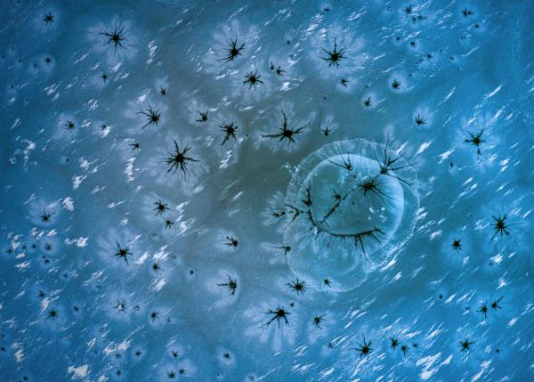 Jégbefagyott vidámság