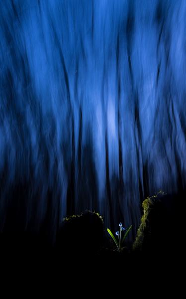 Az esthajnal csillaga