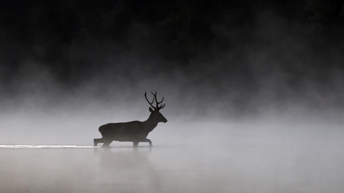 Násfayné Kőházi Mária