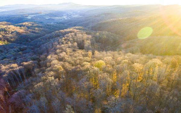 Hajnali fények a Mecsekben