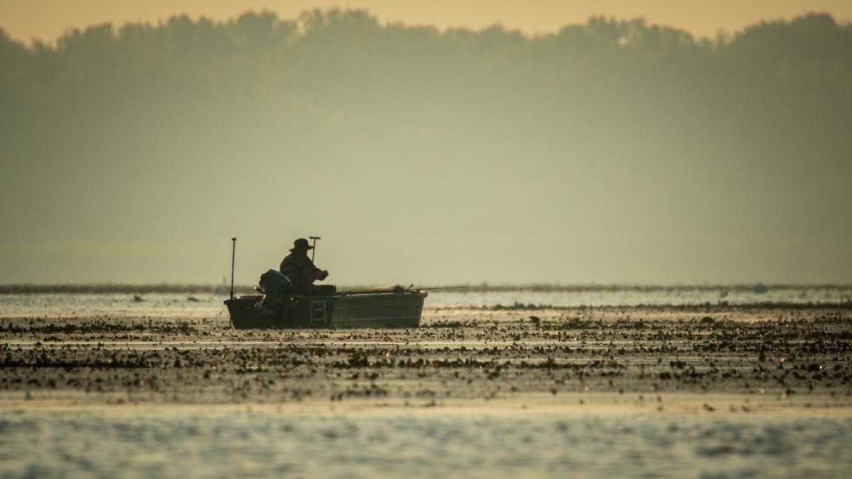 Gémné Kovács Anita