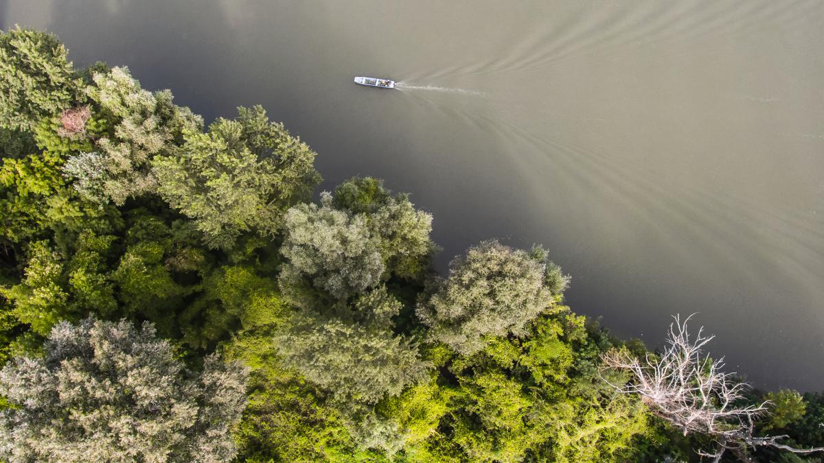 Koncz-Bisztricz Tamás