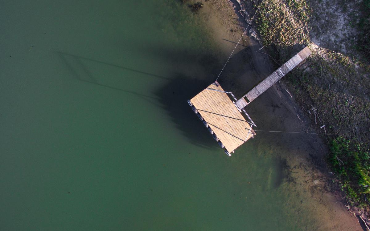 Koncz-Bisztricz Tamás