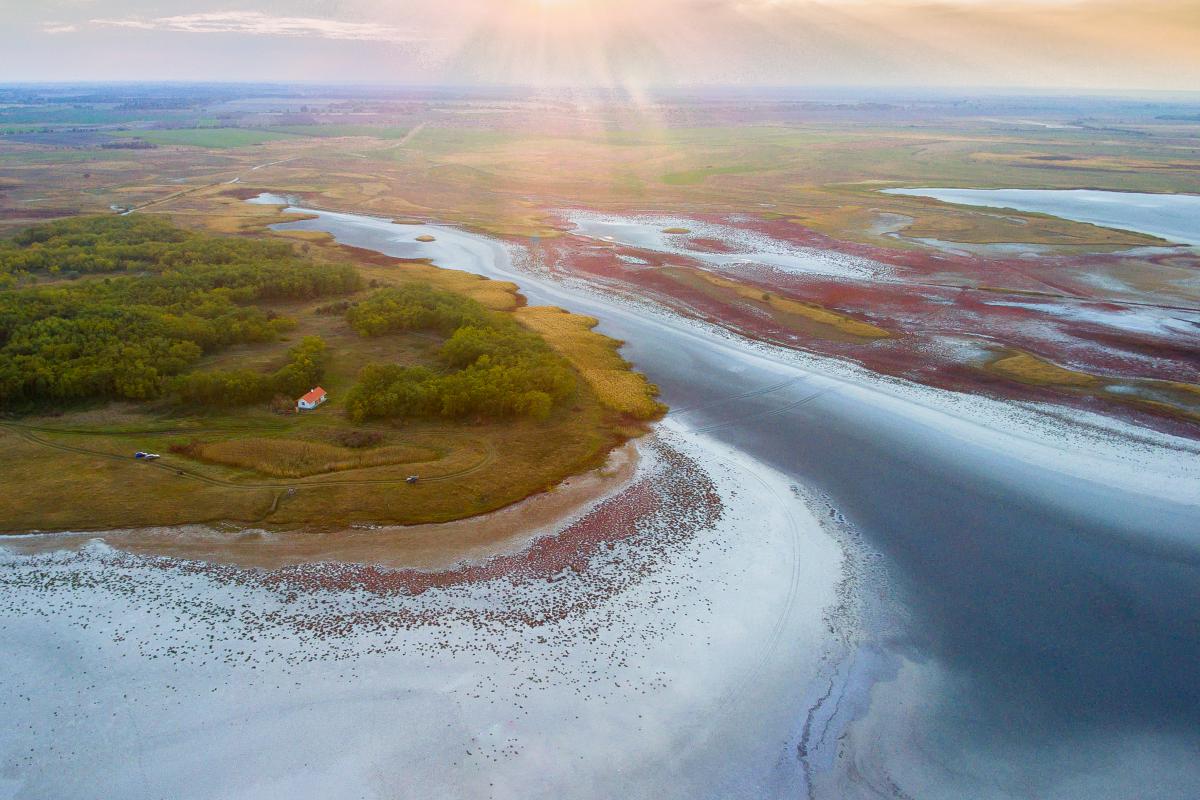 Koncz-Bisztricz Tamás