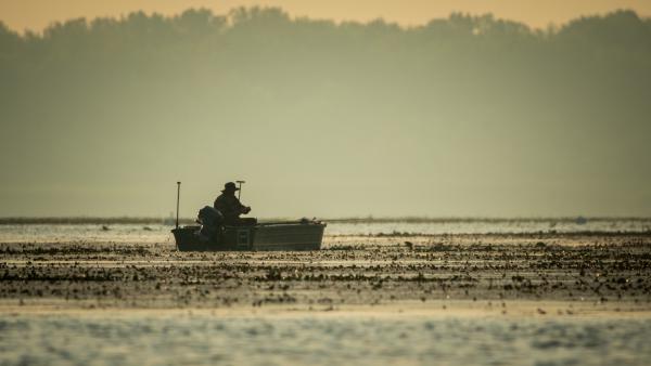 Hajnal a Tisza-tavon