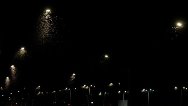 Mint csillag az égen