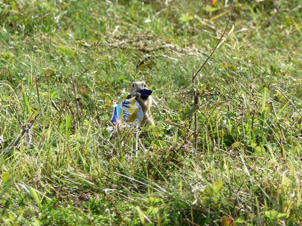 Ez itt nem a reklám helye...